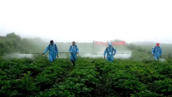 六盤水“十強(qiáng)化”穩(wěn)糧食生產(chǎn)保安全。