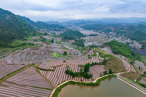 黔西南州白碗窯岔米綜合體煙地。