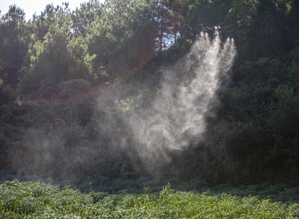 在貴州省黔東南苗族侗族自治州施秉縣楊柳塘鎮上敖村，縣農業農村局“無人機植保服務隊”在幫助村合作社種植的100余畝辣椒噴灑農藥。