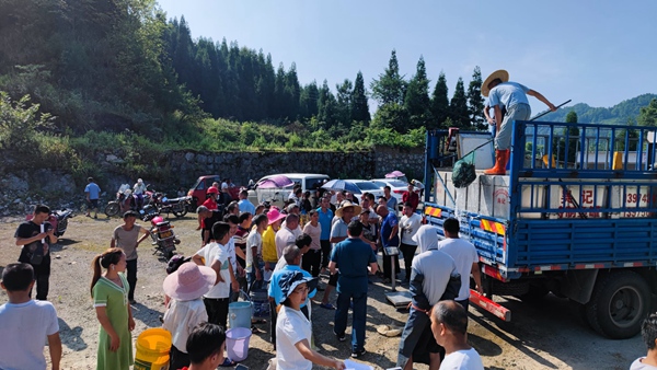 圖為:發放稻田魚苗