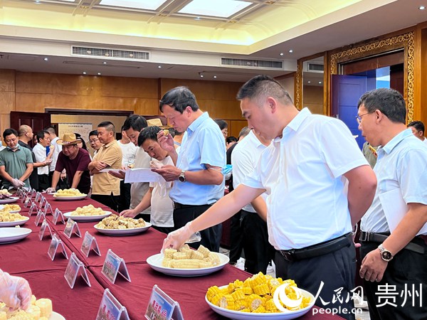 鮮食玉米品鑒會現場。人民網 陳潔泉攝