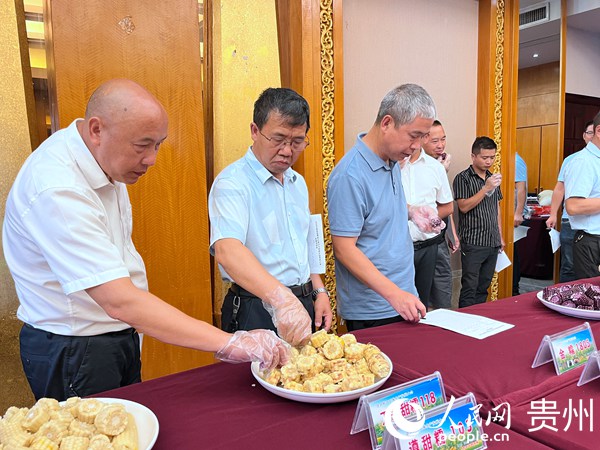 鮮食玉米品鑒會現場。人民網 陳潔泉攝