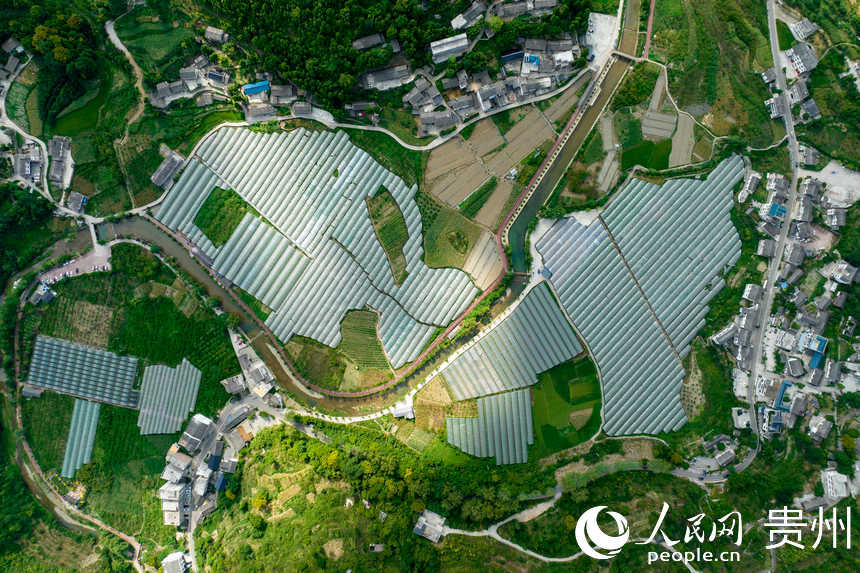 航拍群山環抱的長官司虹妤葡萄園。人民網 涂敏攝