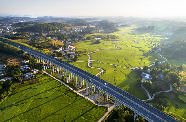2022年8月21日，貴州省黔西市金碧鎮鏵口寨社區1500畝優質水稻生產基地（無人機照片）。