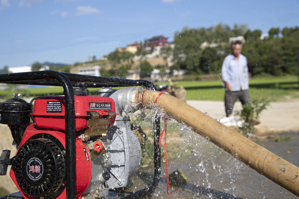 2022年8月21日，貴州省黔西市金碧鎮(zhèn)鏵口寨社區(qū)優(yōu)質(zhì)水稻生產(chǎn)基地，農(nóng)民抽水澆灌水稻。