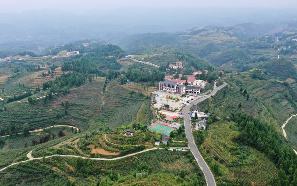 大方縣貓場鎮箐口村獼猴桃基地與新農村航拍。周訓貴攝