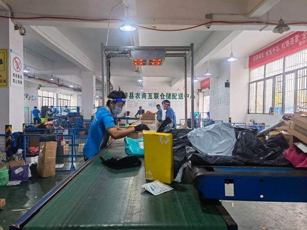 桐梓縣中通快遞分揀中心工作人員正在分揀快遞。張穎攝