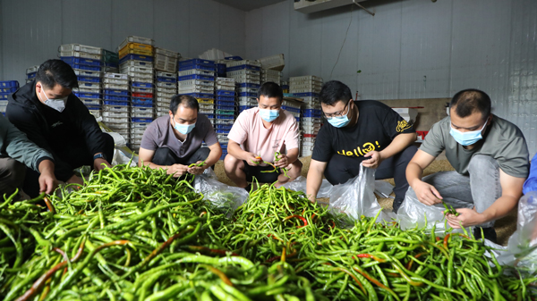 長順干部、群眾、志愿者正在為貴陽籌備物資。