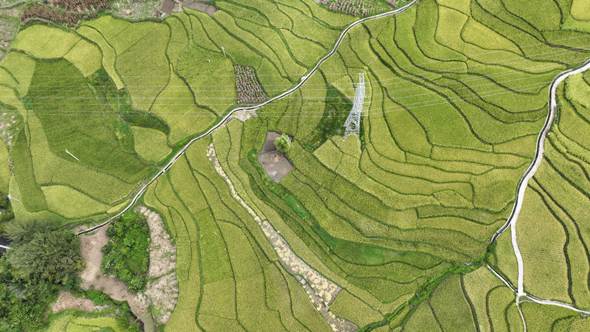 9月14日，貴州省大方縣小屯梯田航拍。王定超攝