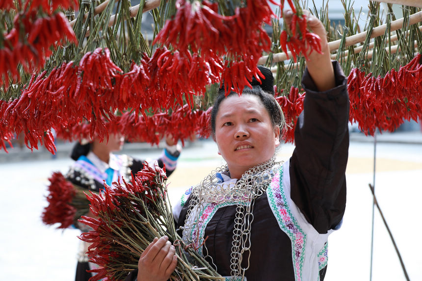 9月21日，村民在晾曬辣椒。
