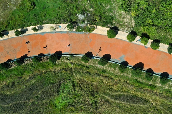 大方縣長石鎮仲麥村晾曬高粱場景航拍。周訓貴攝