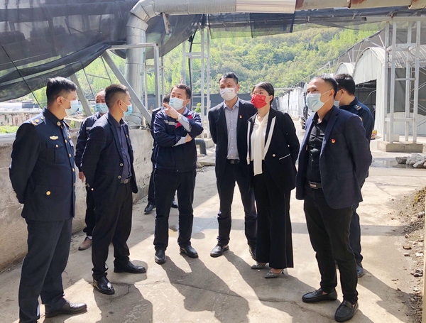 大方縣多部門聯動到雪榕集團現場辦公為企業解決難題。宋月圓攝