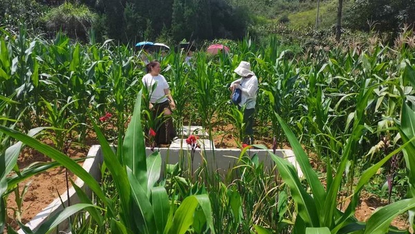 大石布依族鄉實行領導和部門包村,干部包組責任制,將工作落到實處。