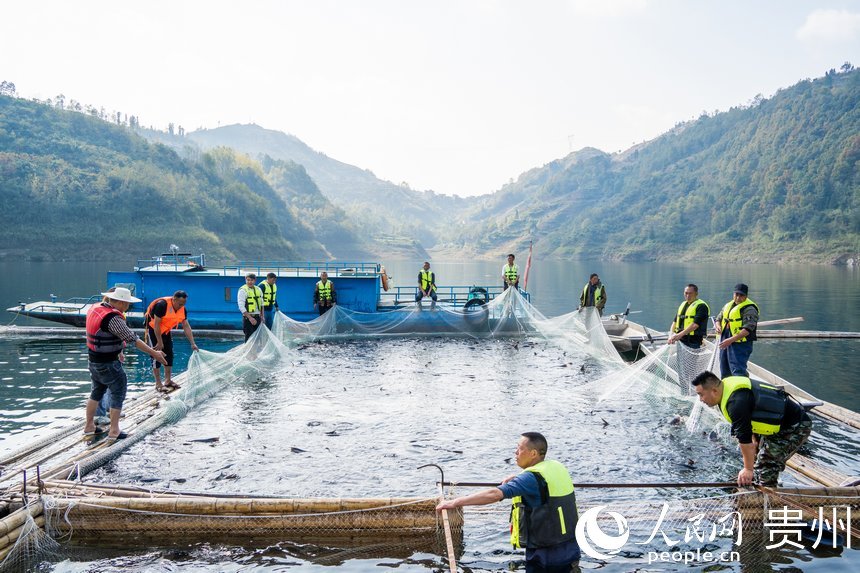 起捕儀式現場。人民網記者 涂敏攝