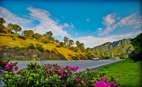 S305線江口云社路段。羅鵬攝