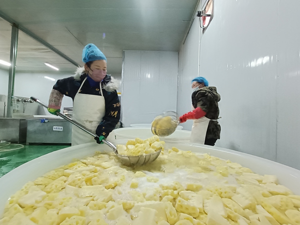 工人在清洗菠蘿。