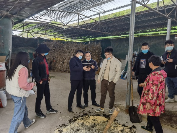 貴州大學動科院專家作牛酒糟飼料調制現場指導。貴州大學供圖