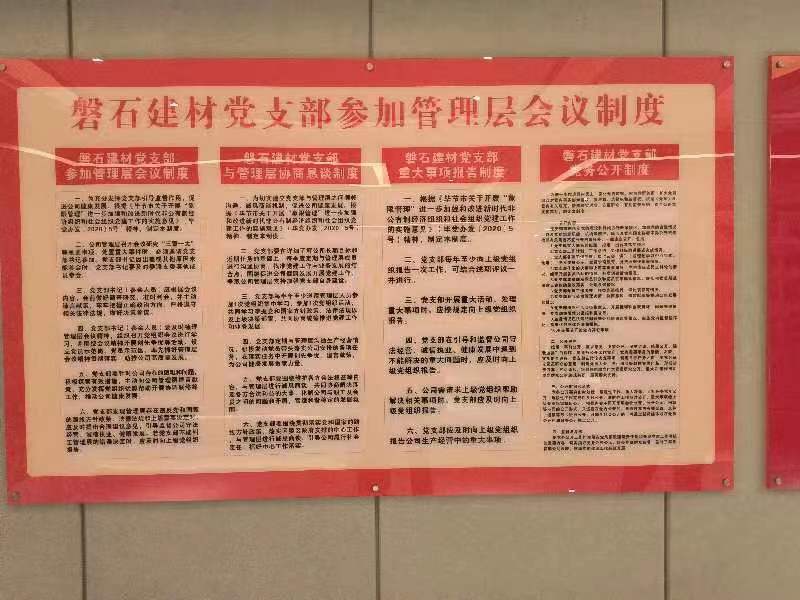 畢節市七星關區龍頭民營企業磐石高科新材公司黨支部情況簡介