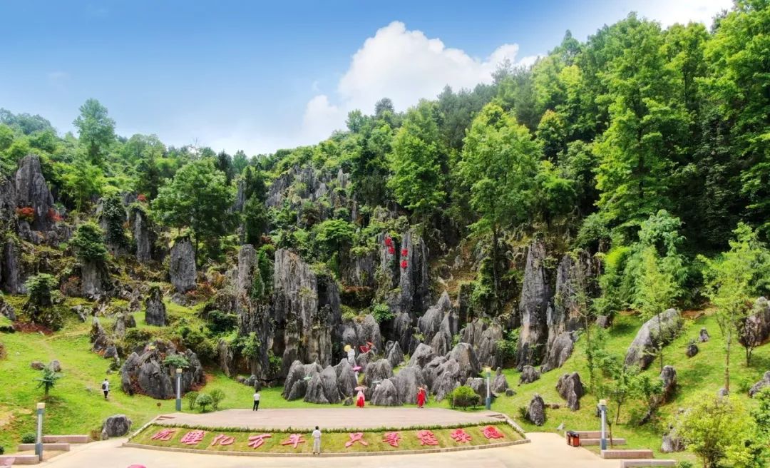 思南石林。