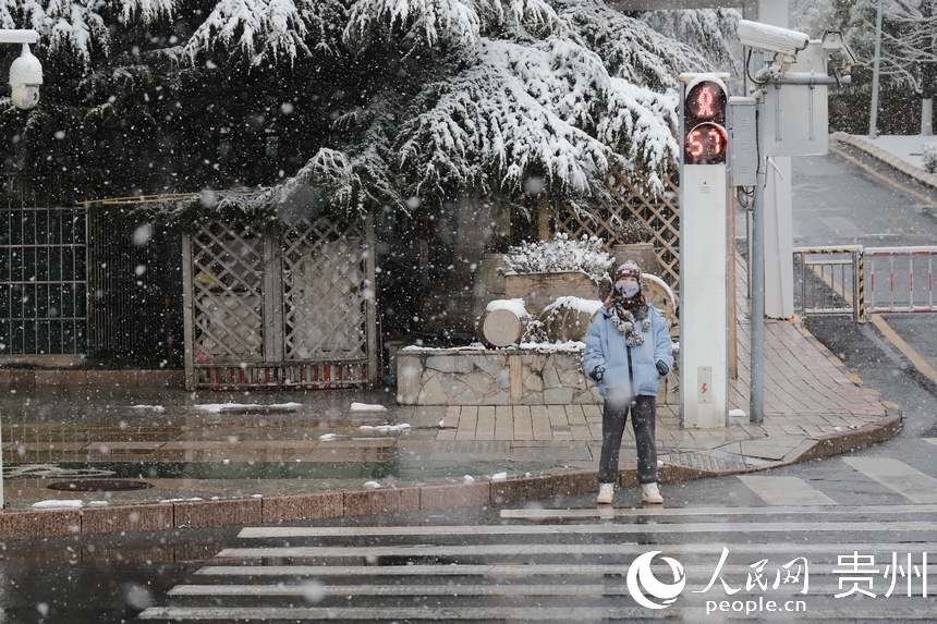 在斑馬線等待紅燈的市民。人民網(wǎng) 顧蘭云攝