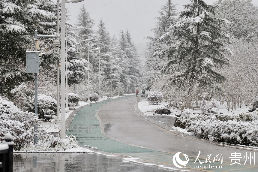 觀山湖公園雪景。人民網 顧蘭云攝