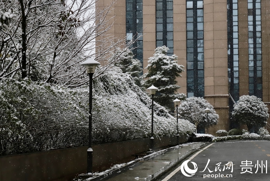 人行道雪景。人民網(wǎng) 顧蘭云攝 
