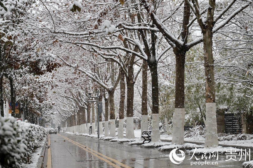 人行道雪景。人民網 顧蘭云攝