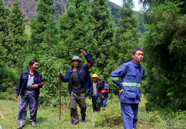 護林員在巡林。