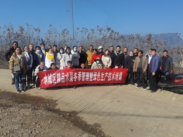 集中培訓現場。