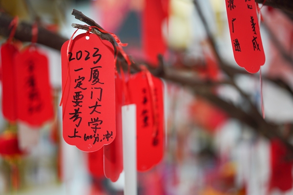 活動現場。徐其飛攝