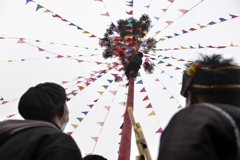 2月16日，貴州省大方縣牛場鄉苗族跳花節跳花樹。鄭吉軍攝