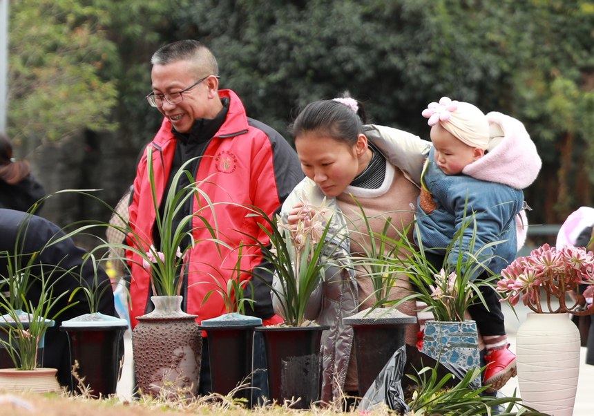 劍河縣舉行的迎春蘭花展活動現場。