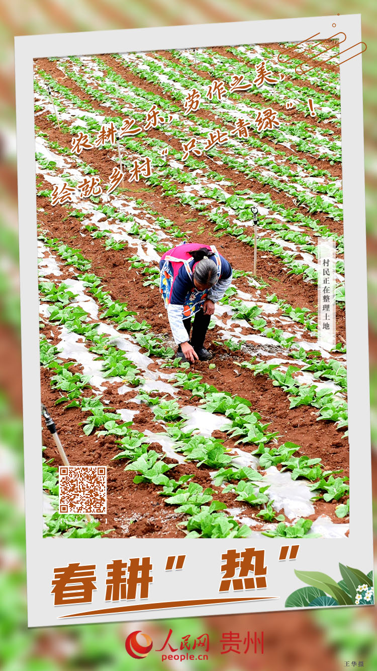 農耕之樂，勞作之美，繪就鄉村“只此青綠”！