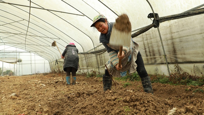 2月20日，貴州大方縣長(zhǎng)石鎮(zhèn)仲麥村村民正在耕種。（周訓(xùn)貴 攝）.JPG
