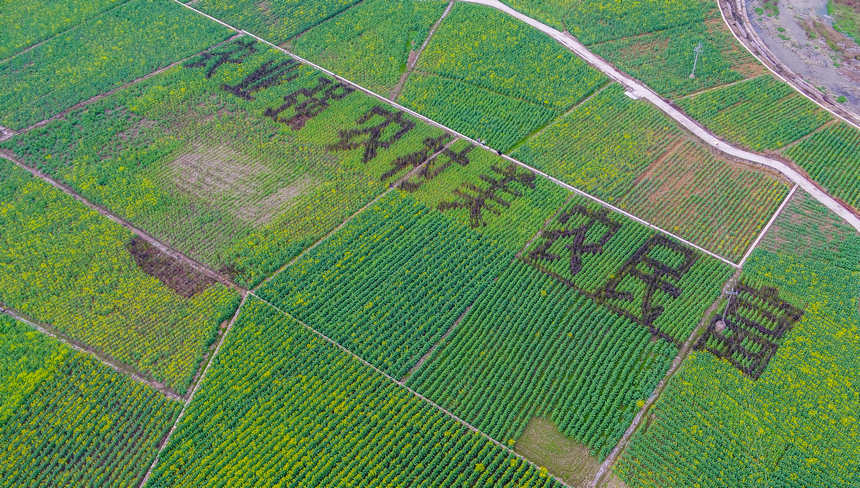 圖為萬(wàn)元村東山壩區(qū)局部。