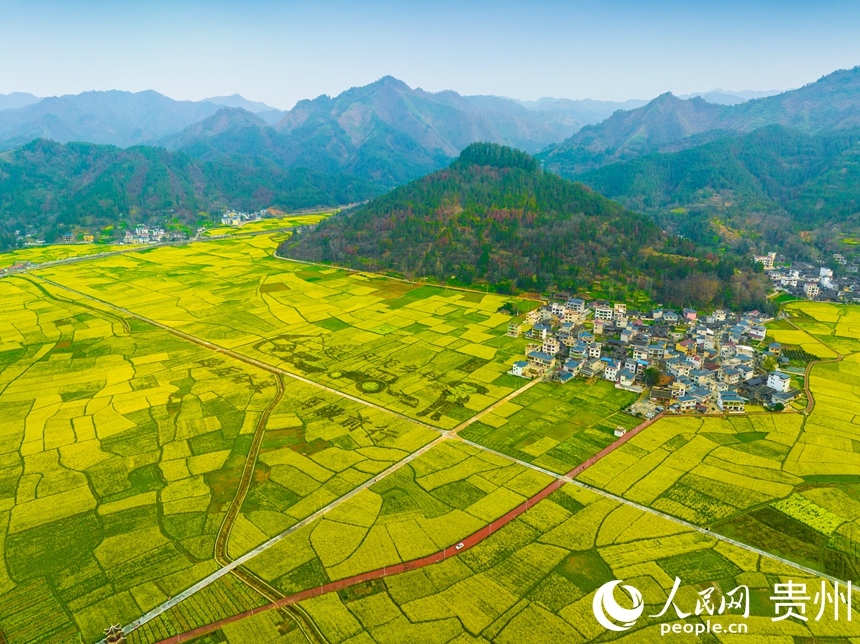 司前壩區的油菜花花期將持續到4月中旬。人民網 陽茜攝