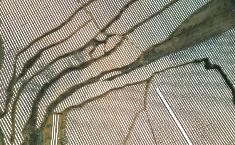 3月16日，大方縣東關鄉羅寨社區烤煙種植基地航拍。（何志剛  攝）.JPG