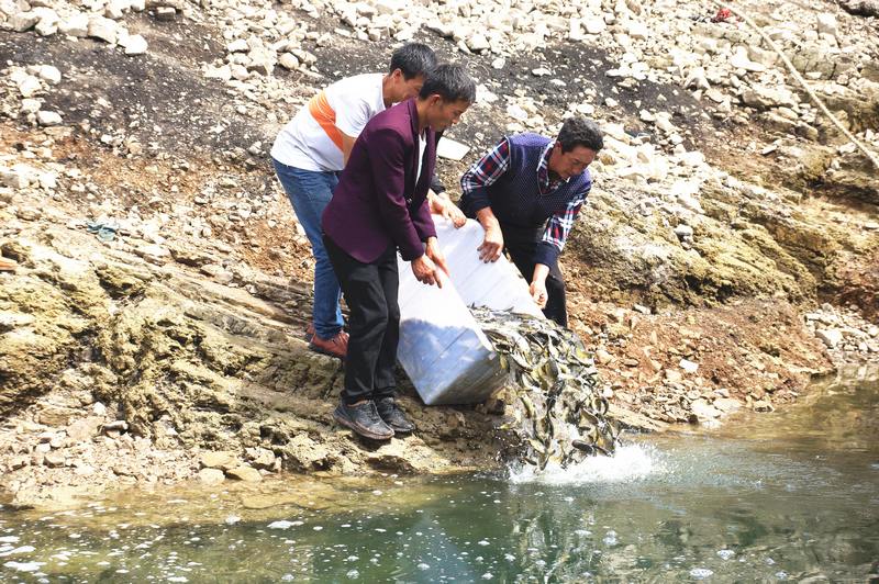 2020年5月29日,貴州省大方縣黃泥塘鎮村民參加生態補償增殖放流活動時投放魚苗。(符平才 攝).jpg
