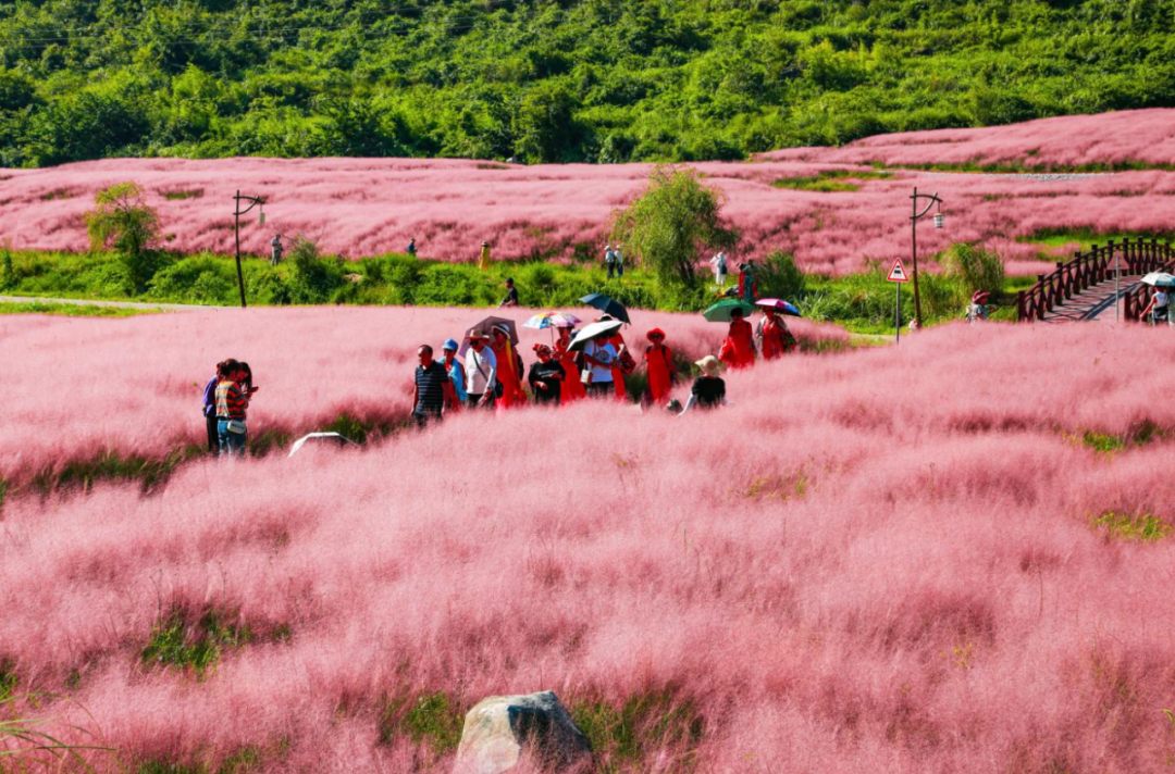 長順風(fēng)景區(qū)。