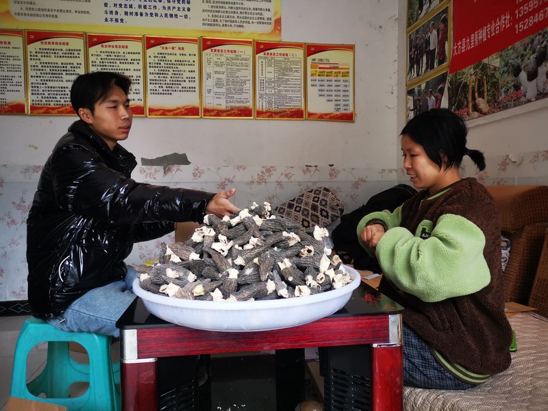 3月27日，貴州省大方縣九里箐合作社分裝訂單產品。（趙芳草 攝）.jpg