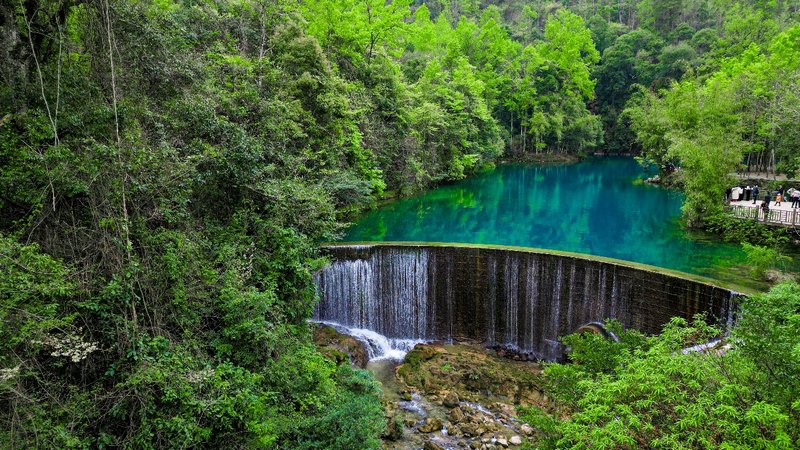 臥龍?zhí)?任珍宇 攝.jpg