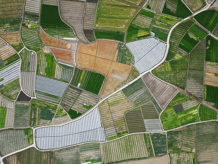 凱里市下司鎮花橋村的蔬菜基地。