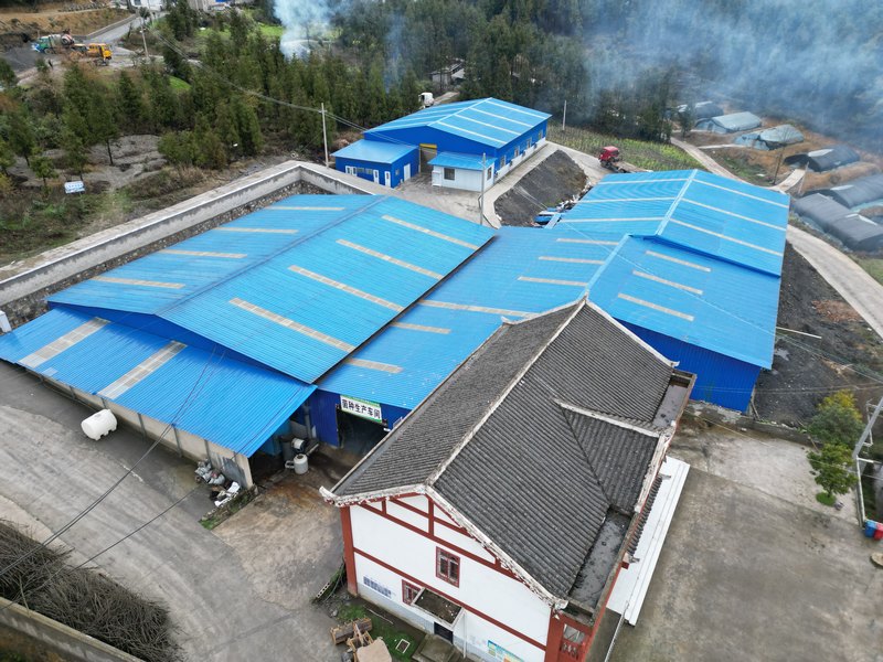 4月13日,大方縣三合森源中藥材種植專業合作社航拍一角。(何志剛 攝).jpg