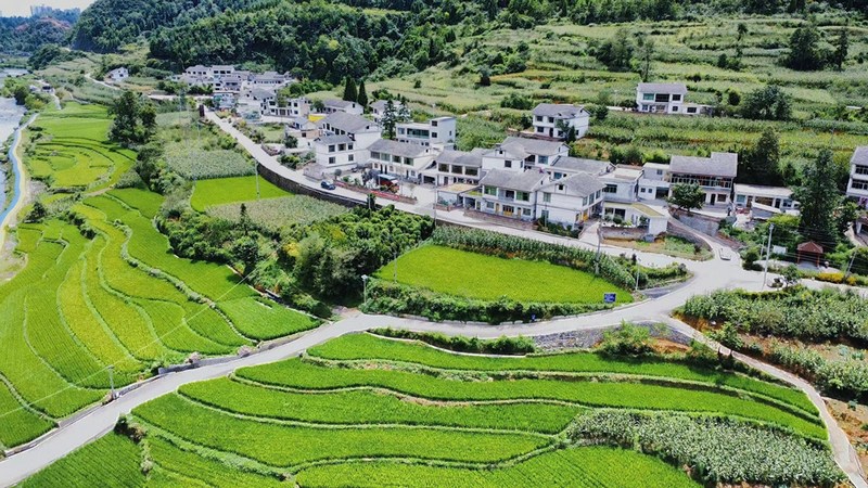 修文縣龍場街道沙溪村。