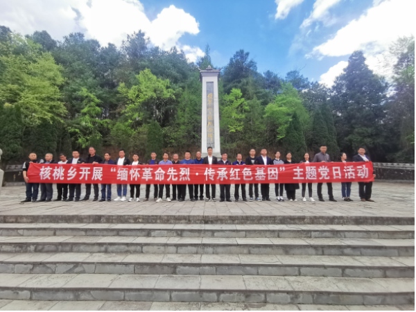 貴州省大方縣核桃鄉(xiāng)開展“緬懷革命先烈·傳承紅色基因”主題黨日活動(dòng)。陳躍攝