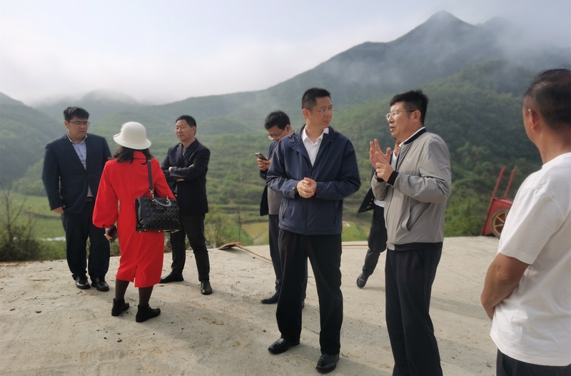 中國信達集團到貴州省大方縣鳳山鄉調研產業發展。譚勇 攝.jpg