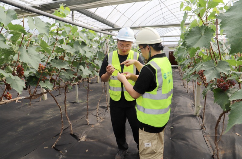 5  圖為實現大棚內自動控制葡萄生長恒定環境，全面提升產業園區生產管理數字化。.jpg