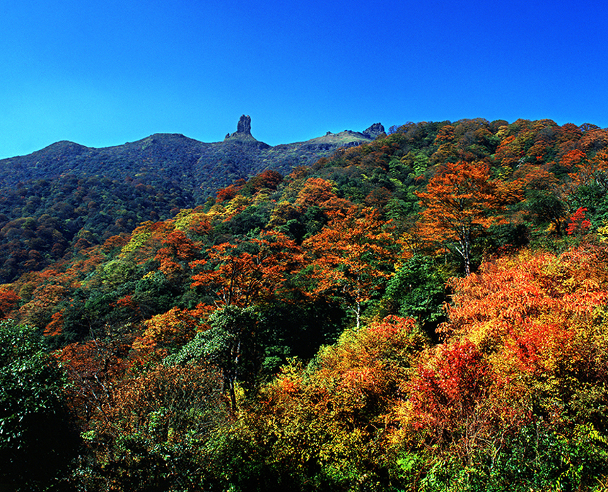 梵凈山秋天。何朝清攝