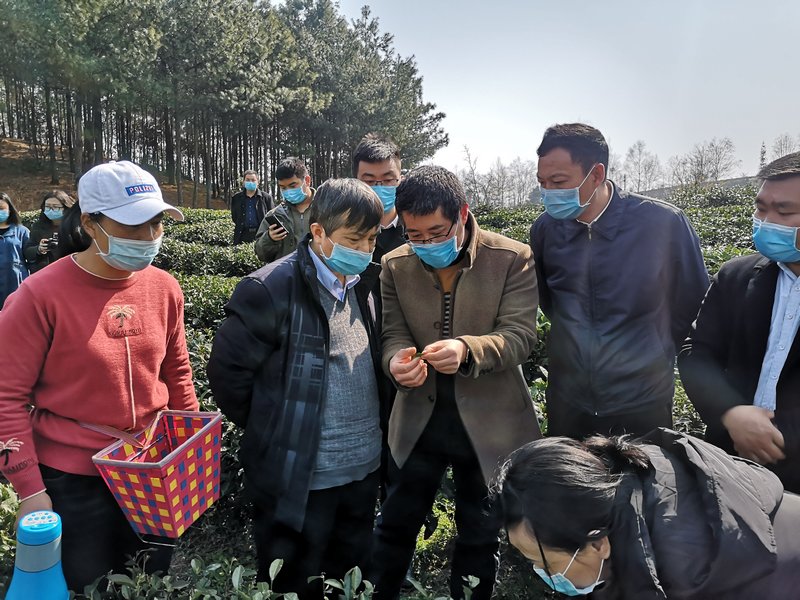 4.貴州大學(xué)校長(zhǎng)宋寶安院士指導(dǎo)春耕備耕工作。貴州大學(xué)供圖.jpg
