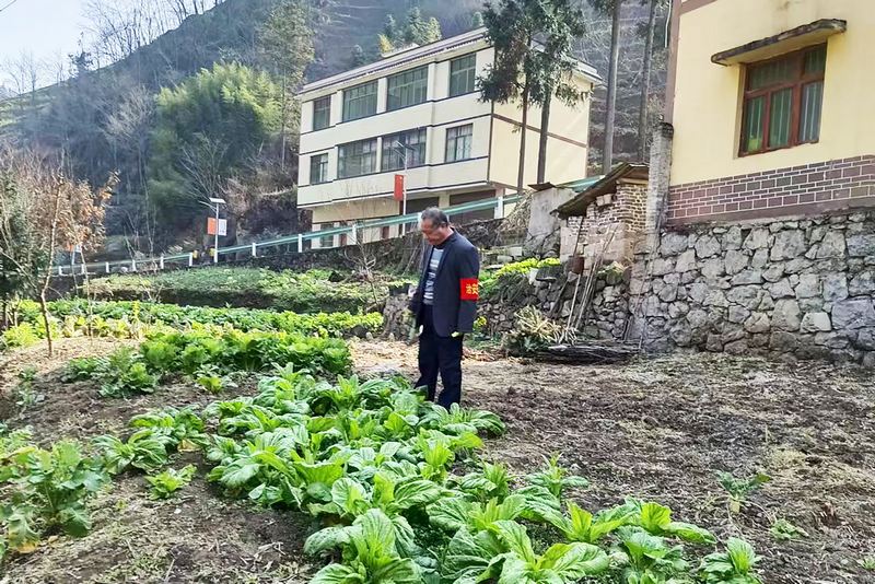 大方縣綠塘鄉網格員到各個村民組排查毒品原植物。（陳孟員 攝）.jpg
